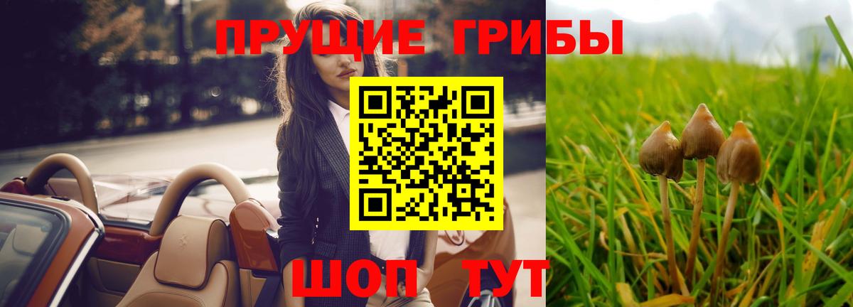 Галлюциногенные грибы мухоморы  Вход с VPN  Моздок  Псилоцибиновые грибы Psilocybe 