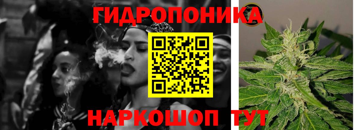 Канабис семена  МАРИХУАНА гибрид  Моздок  Вход с VPN 